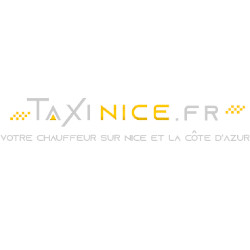 logo taxinice.fr